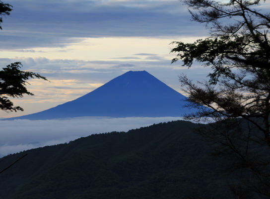 houou20110806-001.jpg