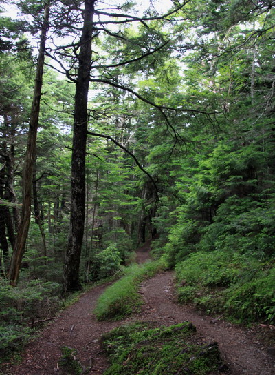 houou20110806-007.jpg