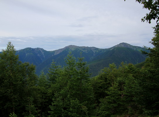 houou20110806-009.jpg