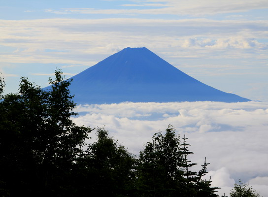 houou20110806-011.jpg