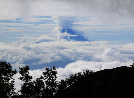 houou20110806-013.jpg