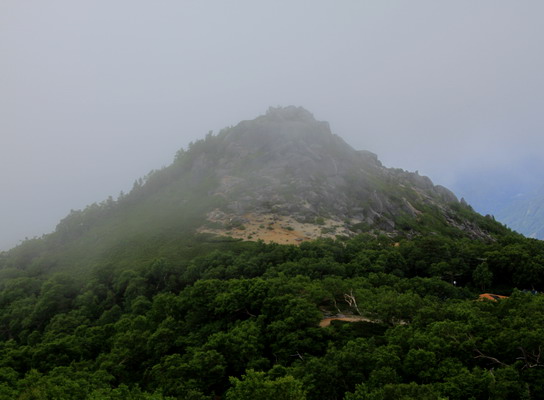 houou20110806-017.jpg