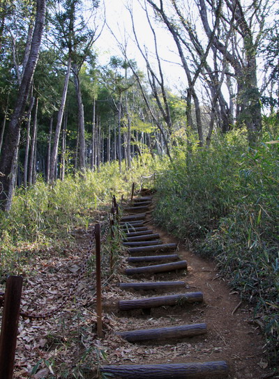 jinba20110417-004.jpg