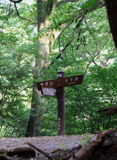 kakigori20110816-005.jpg