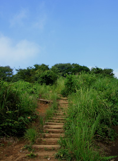 kakigori20110816-006.jpg