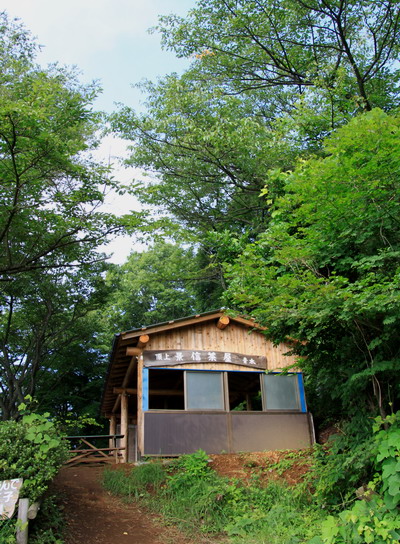kakigori20110816-007.jpg