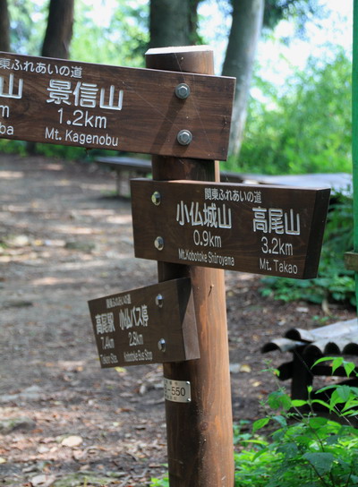 kakigori20110816-010.jpg