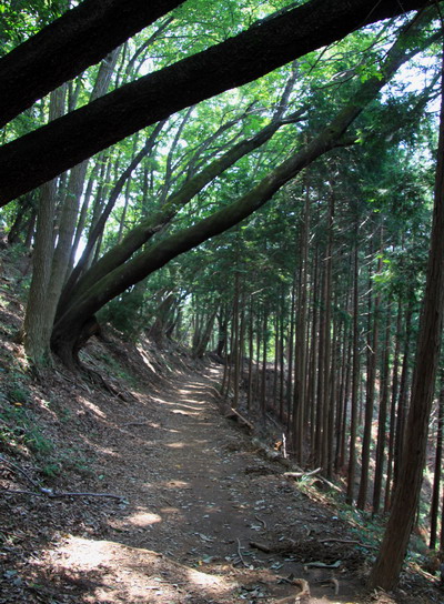 kakigori20110816-018.jpg