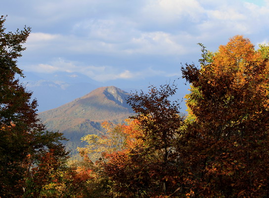 kanayama20101018-005.jpg
