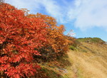 kanayama20101018-013.jpg