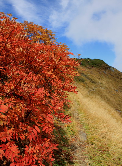 kanayama20101018-111.jpg