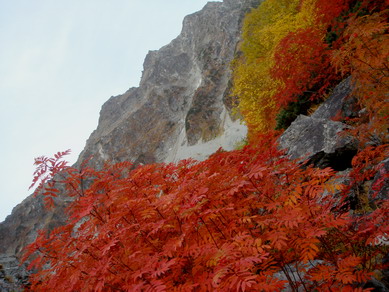 kitaho20071014-005.jpg