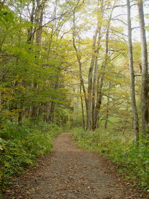 kitaho20071014-006.jpg