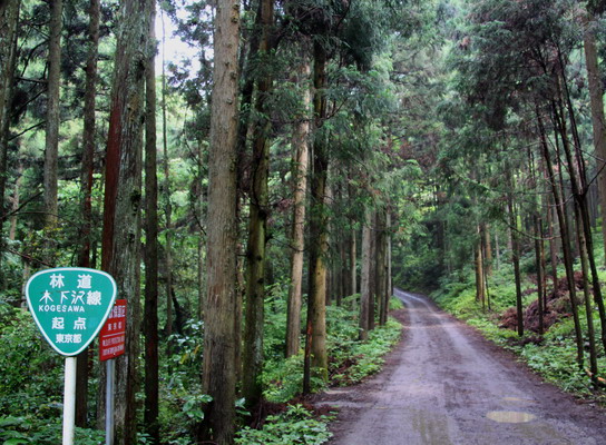 kogesawa20110621-002.jpg