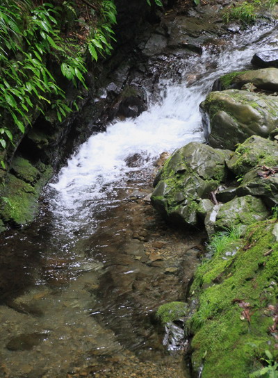 kogesawa20110621-004.jpg
