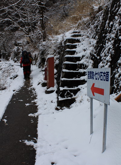 kumotori20110213-002.jpg