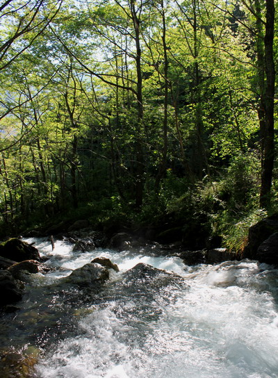 shirane20100821-003.jpg