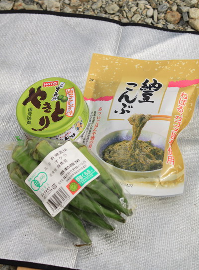 shiranemeshi20100821-001.jpg