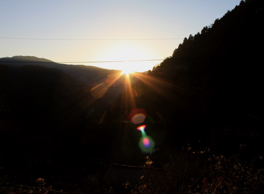 shoto20110215-003.jpg
