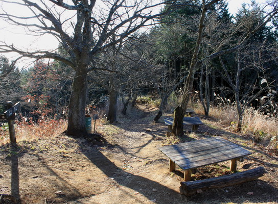 shoto20110215-008.jpg