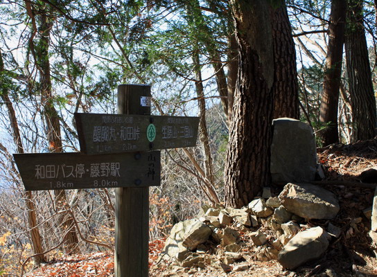 shoto20110215-019.jpg