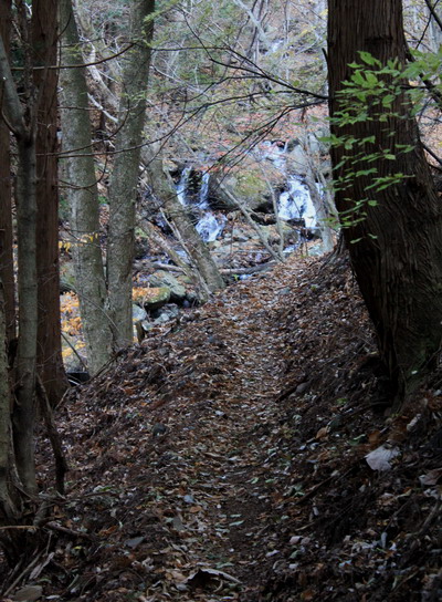 takikoyama20101128-005.jpg