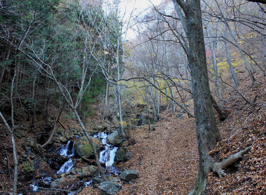takikoyama20101128-006.jpg