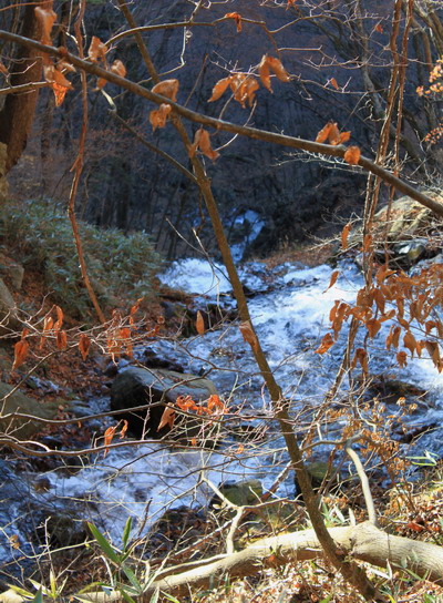 takikoyama20101128-010.jpg