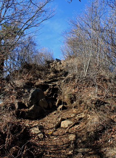 takikoyama20101128-013.jpg