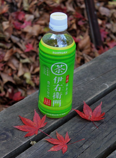takikoyama20101128-024.jpg