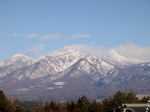 tengu20090111-001.JPG