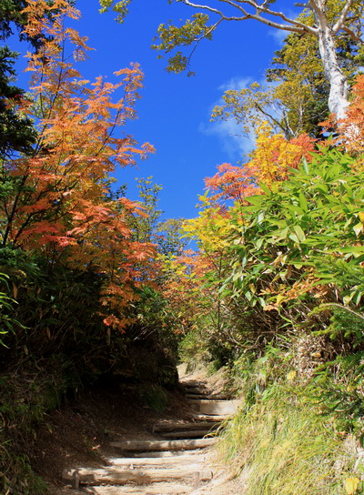 tubakuro20101002-008.jpg