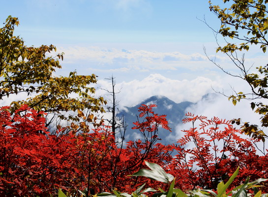 tubakuro20101002-009.jpg