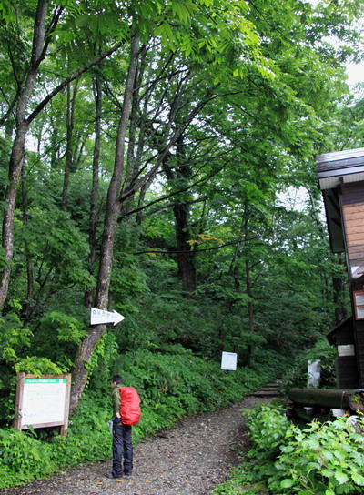 tugami20110821-003.jpg
