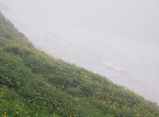 tugami20110821-009.jpg