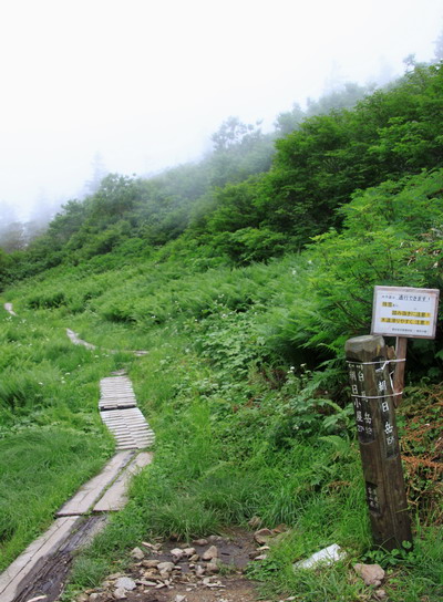 tugami20110821-017.jpg
