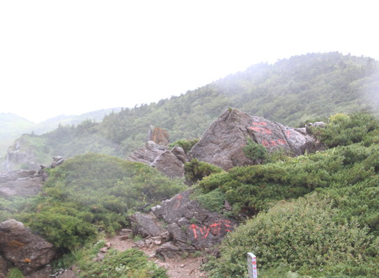 tugami20110821-999.jpg