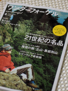 wander20110313-002.jpg