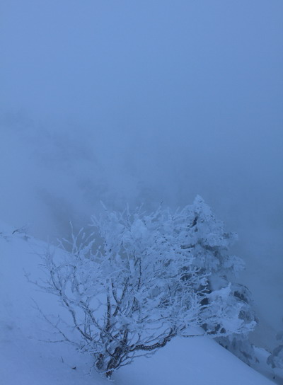 yatu20100506-002.jpg
