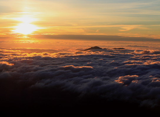 yatu20100718-005.jpg