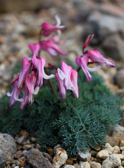 yatu20100718-038.jpg