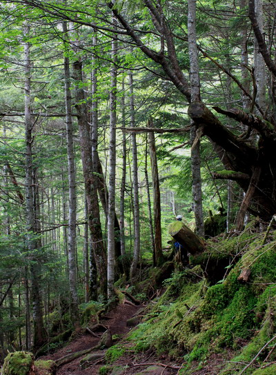 yatu20100718-041.jpg