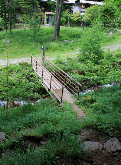 yatu20100718-042.jpg