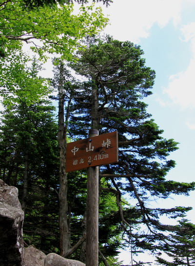 yatu20110717-029.jpg