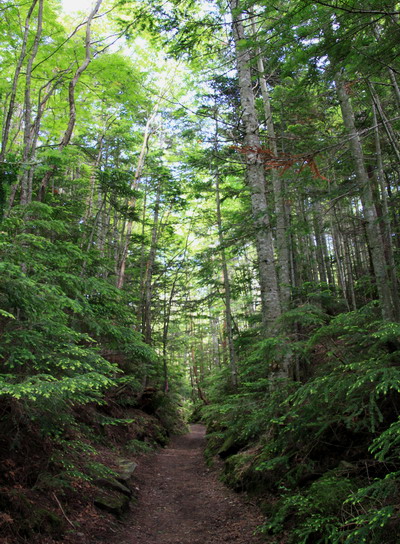 yatu20110717-033.jpg