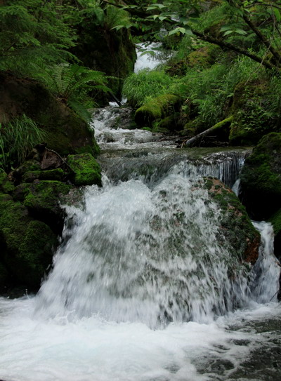 yatu20110717-035.jpg